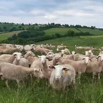 펜션 Aveyron Avec Vue Riviere, Proche Albi Réquista