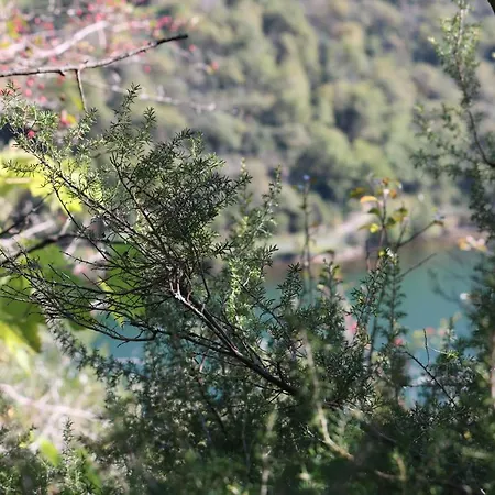 Soulie Du Tarn Avec Magnifique Vue Sur La Riviere Et La Vallee Holiday home