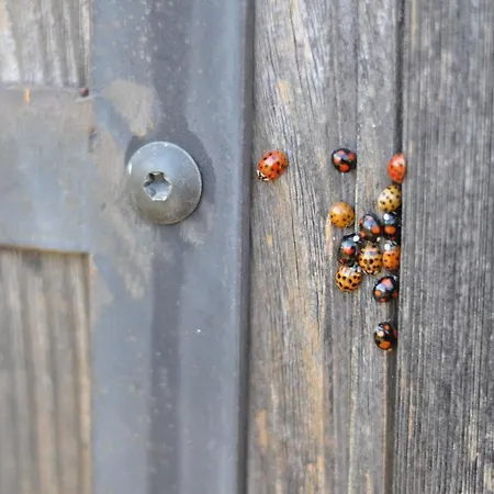 Aveyron Avec Vue Riviere, Proche Albi Dom wakacyjny