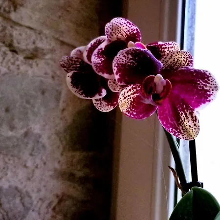 Aveyron Avec Vue Riviere, Proche Albi Requista