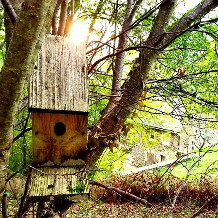Aveyron Avec Vue Riviere, Proche Albi