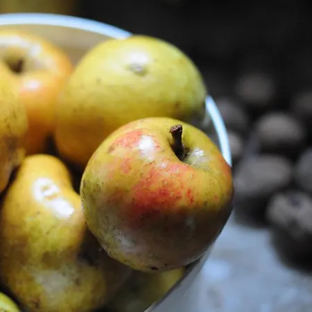 Aveyron Avec Vue Riviere, Proche Albi *