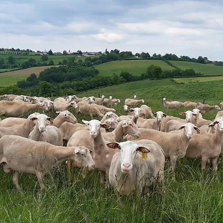 Dom wakacyjny Aveyron Avec Vue Riviere, Proche Albi Réquista