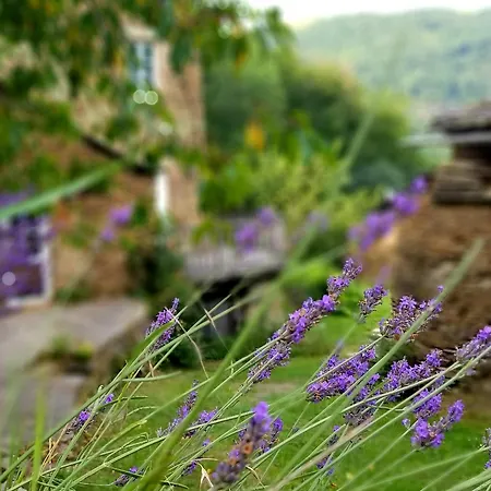 Aveyron Avec Vue Riviere, Proche Albi