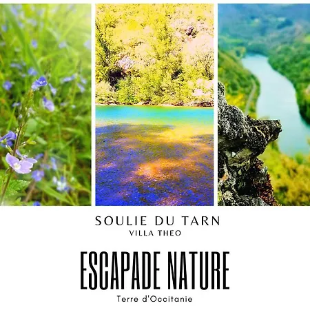 Aveyron Avec Vue Riviere, Proche Albi * Réquista