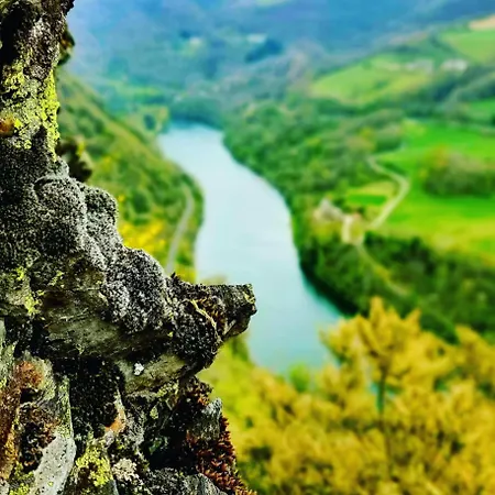 Aveyron Avec Vue Riviere, Proche Albi * Requista