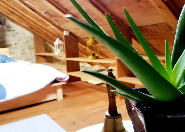 Aveyron Avec Vue Riviere, Proche Albi * Réquista