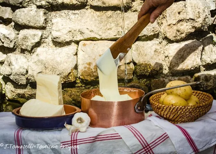 Aveyron Avec Vue Riviere, Proche Albi בית נופש Réquista