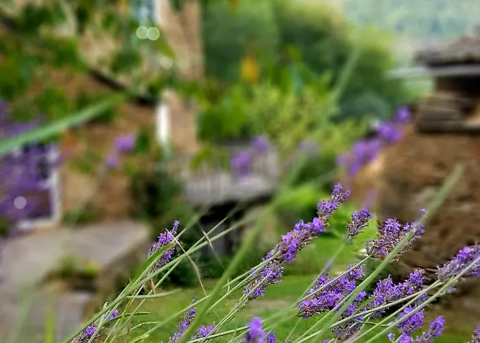 Aveyron Avec Vue Riviere, Proche Albi