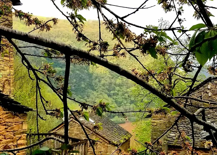 Aveyron Avec Vue Riviere, Proche Albi בית נופש Réquista