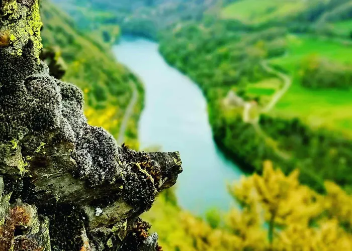 Aveyron Avec Vue Riviere, Proche Albi * Réquista